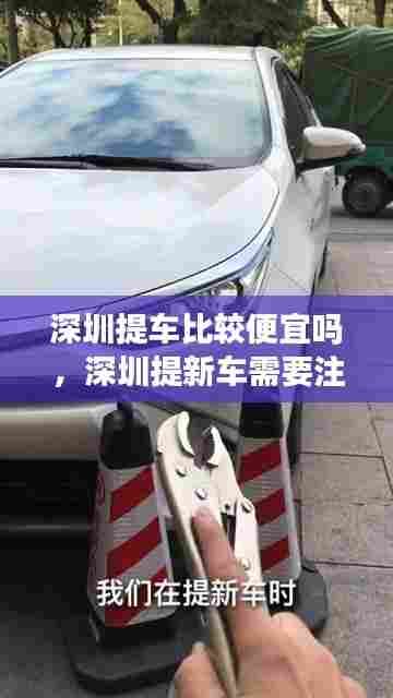 深圳提车比较便宜吗,深圳提新车需要注意什么