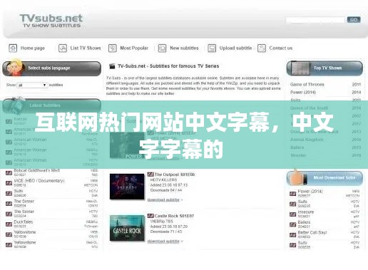 互联网热门网站中文字幕,中文字字幕的
