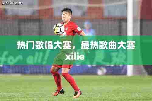 热门歌唱大赛,最热歌曲大赛xilie