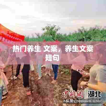 热门养生 文案，养生文案短句 