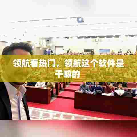 领航看热门，领航这个软件是干嘛的 