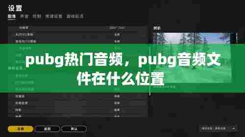 pubg热门音频,pubg音频文件在什么位置