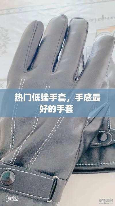 热门低端手套,手感最好的手套