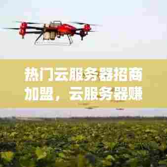 热门云服务器招商加盟，云服务器赚钱项目 