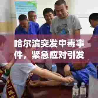 哈尔滨突发中毒事件,紧急应对引发公众关注