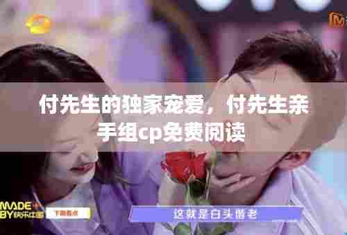 付先生的独家宠爱,付先生亲手组cp免费阅读