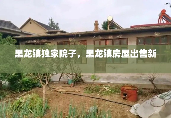 黑龙镇独家院子,黑龙镇房屋出售新