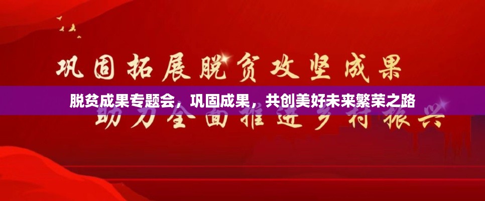 脱贫成果专题会，巩固成果，共创美好未来繁荣之路