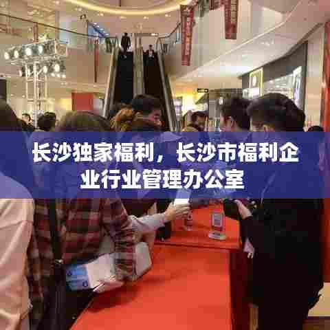 长沙独家福利,长沙市福利企业行业管理办公室