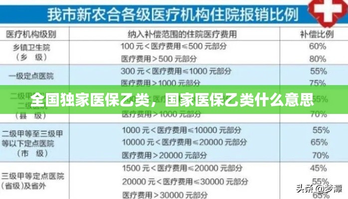 全国独家医保乙类,国家医保乙类什么意思