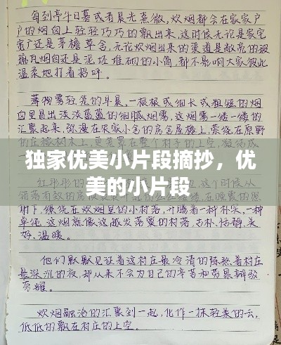 独家优美小片段摘抄，优美的小片段 