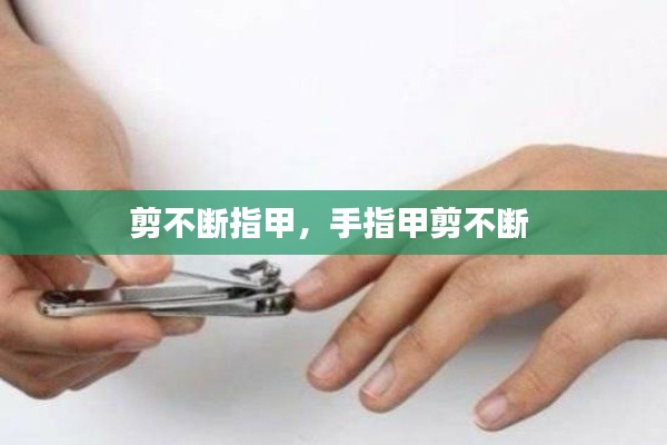 剪不断指甲,手指甲剪不断