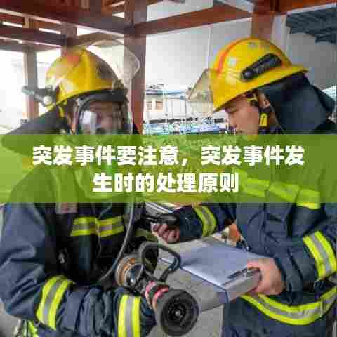 突发事件要注意,突发事件发生时的处理原则