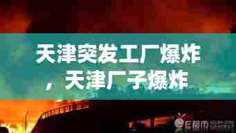 博古通今 第6页