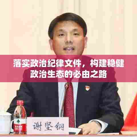 落实政治纪律文件，构建稳健政治生态的必由之路
