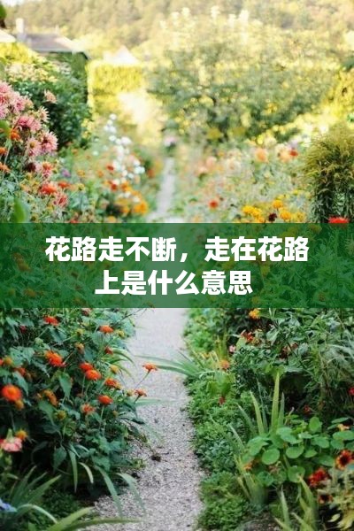 花路走不断,走在花路上是什么意思