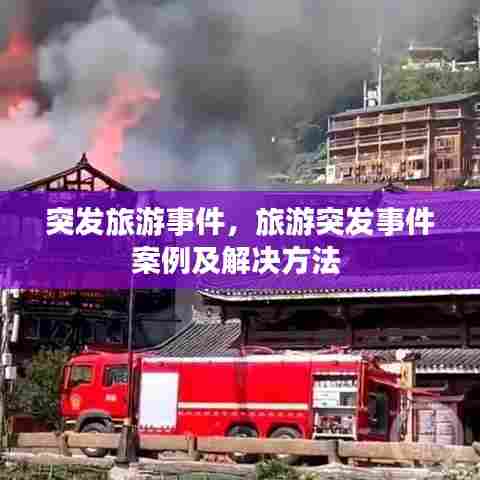 突发旅游事件,旅游突发事件案例及解决方法