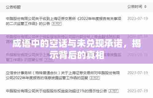 成语中的空话与未兑现承诺,揭示背后的真相