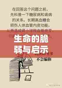 生命的脆弱与启示,身边人的疾病离世引发深思