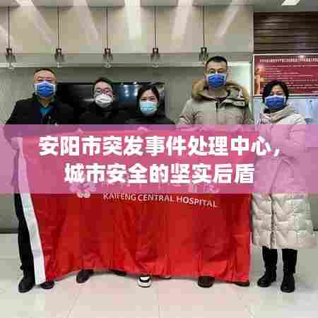 安阳市突发事件处理中心,城市安全的坚实后盾