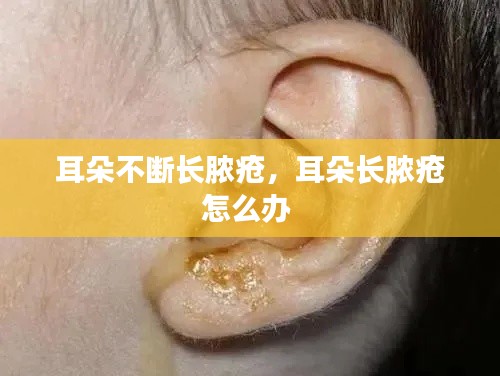 耳朵不断长脓疮，耳朵长脓疮怎么办 