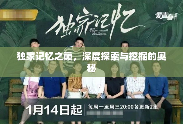 独家记忆之巅,深度探索与挖掘的奥秘