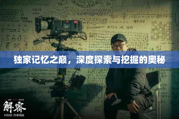 独家记忆之巅,深度探索与挖掘的奥秘