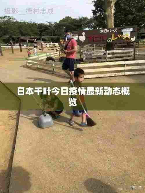 日本千叶今日疫情最新动态概览