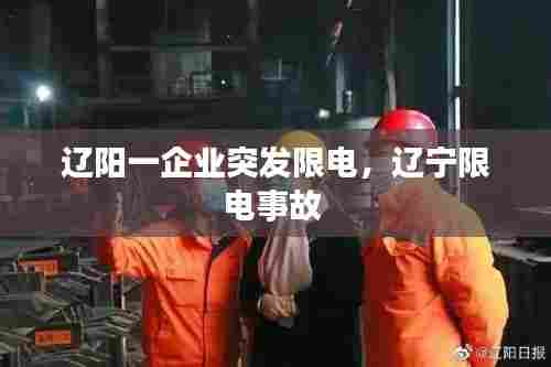 辽阳一企业突发限电,辽宁限电事故