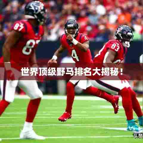 世界顶级野马排名大揭秘!