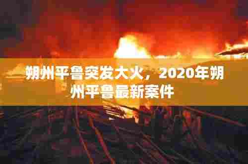 朔州平鲁突发大火,2020年朔州平鲁最新案件