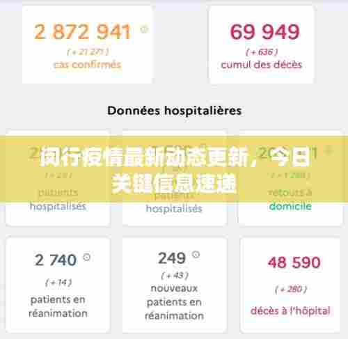 闵行疫情最新动态更新,今日关键信息速递