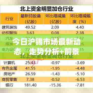 今日沪锡市场最新动态,走势分析+前景展望