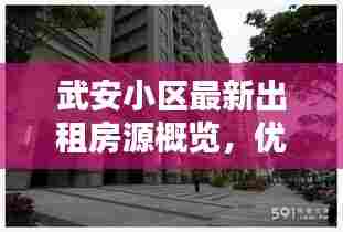 武安小区最新出租房源概览,优质房源一览无余