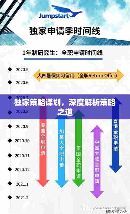 独家策略谋划，深度解析策略之道