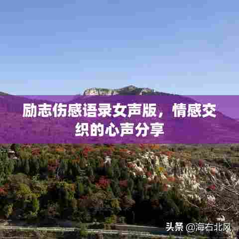 励志伤感语录女声版,情感交织的心声分享