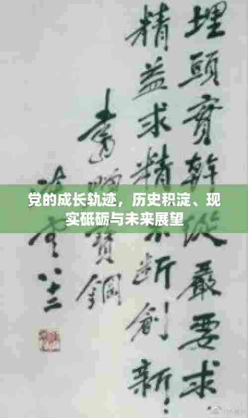 党的成长轨迹,历史积淀、现实砥砺与未来展望