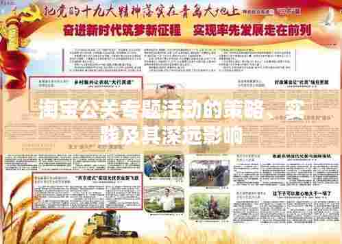 淘宝公关专题活动的策略、实践及其深远影响