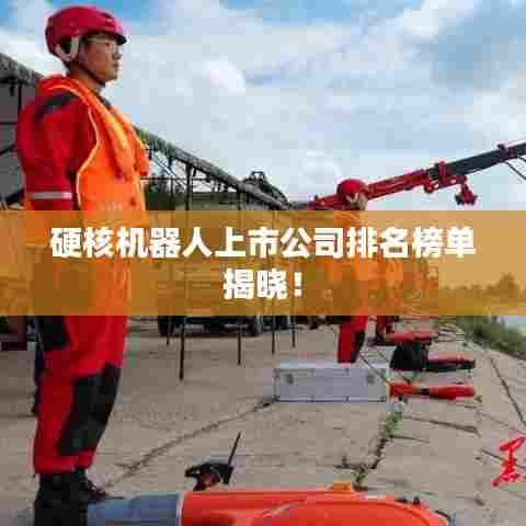 硬核机器人上市公司排名榜单揭晓！