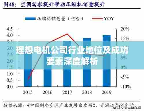 理想电机公司行业地位及成功要素深度解析