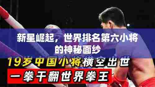新星崛起，世界排名第六小将的神秘面纱