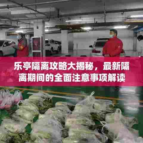 乐亭隔离攻略大揭秘,最新隔离期间的全面注意事项解读