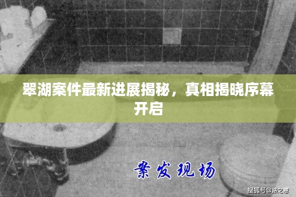 翠湖案件最新进展揭秘,真相揭晓序幕开启