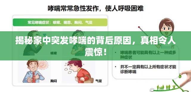 揭秘家中突发哮喘的背后原因,真相令人震惊!