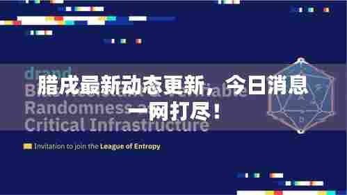 腊戌最新动态更新，今日消息一网打尽！