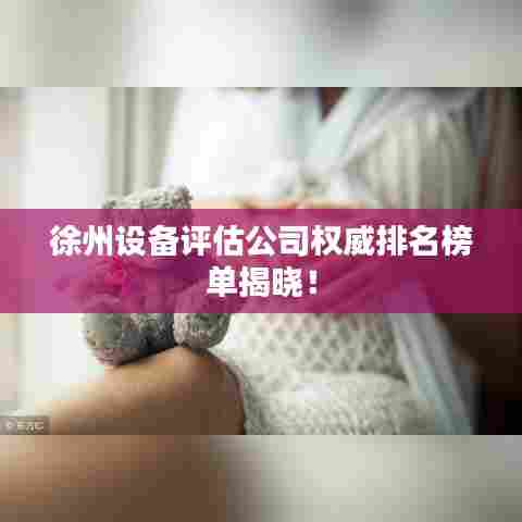 徐州设备评估公司权威排名榜单揭晓!