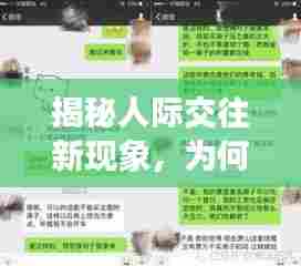 揭秘人际交往新现象，为何人们频繁找人聊天，背后的深层需求是什么？