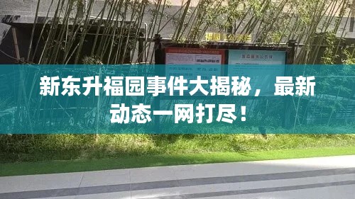新东升福园事件大揭秘,最新动态一网打尽!