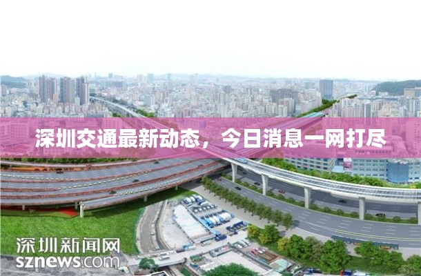 深圳交通最新动态，今日消息一网打尽