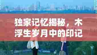 独家记忆揭秘,木浮生岁月中的印记珍藏